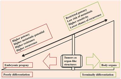 (Im)maturity in Tumor Ecosystem